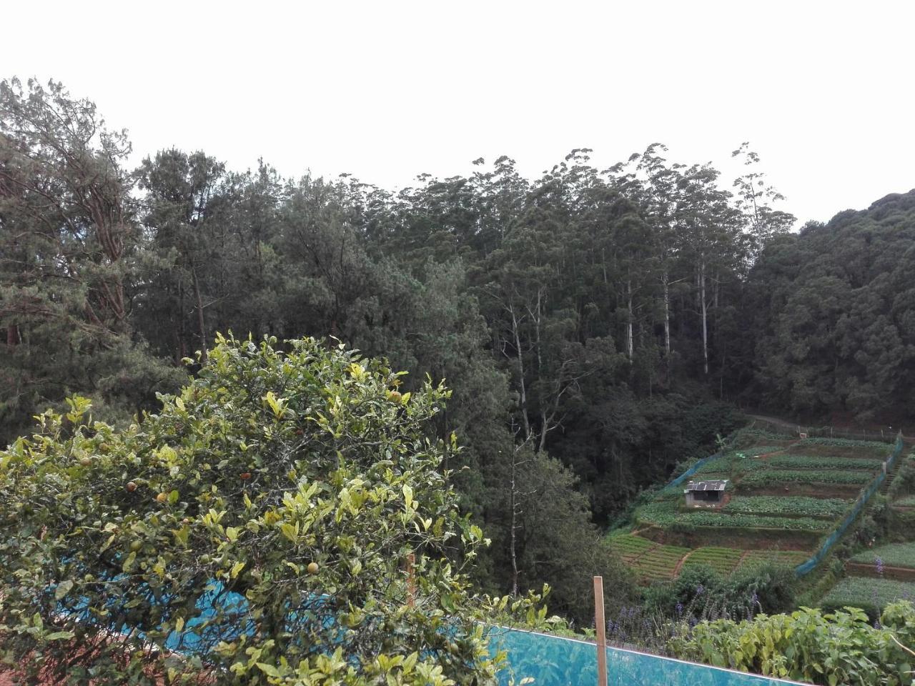 Keshiya Holiday Home นูวาราเอลิยา ภายนอก รูปภาพ